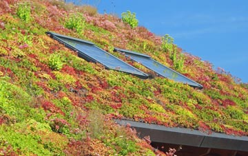 Sherrington living roof systems