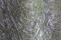 Sherrington fibreglass roof work